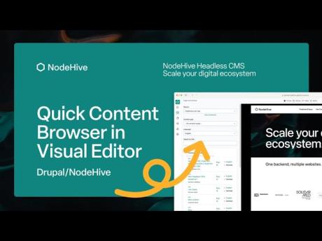 NETNODE AG Introduces Quick Content Browser in NodeHive Visual Editor
