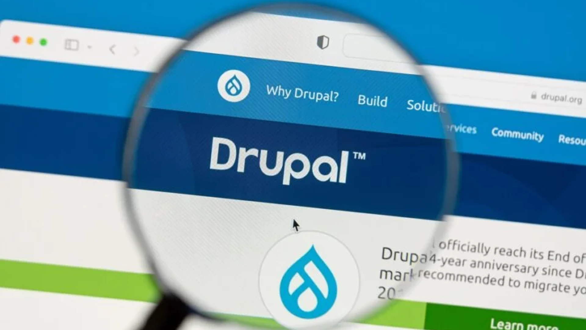 drupal.org image