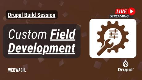 Custom Field Development