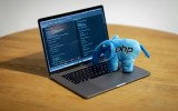 Elephant Plush On Laptop