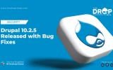Drupal 10.2.5 Released with Bug Fixes
