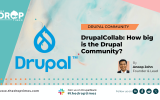DrupalCollab: How big is the Drupal Community?