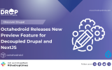 Octahedroid Releases New Preview Feature for Decoupled Drupal and NextJS