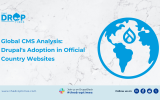 Global CMS Analysis Drupal's Adoption in Official Country Websites