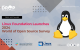2024 World of Open Source Survey Launched by the Linux Foundation